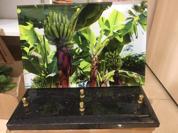 Photo funéraire sur métal personnalisé Martinique